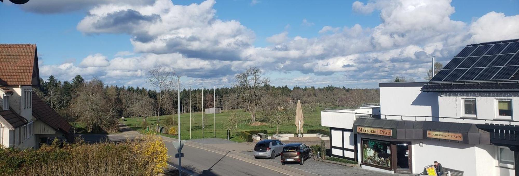 Alter Hirsch Hotel Pfalzgrafenweiler Cameră foto