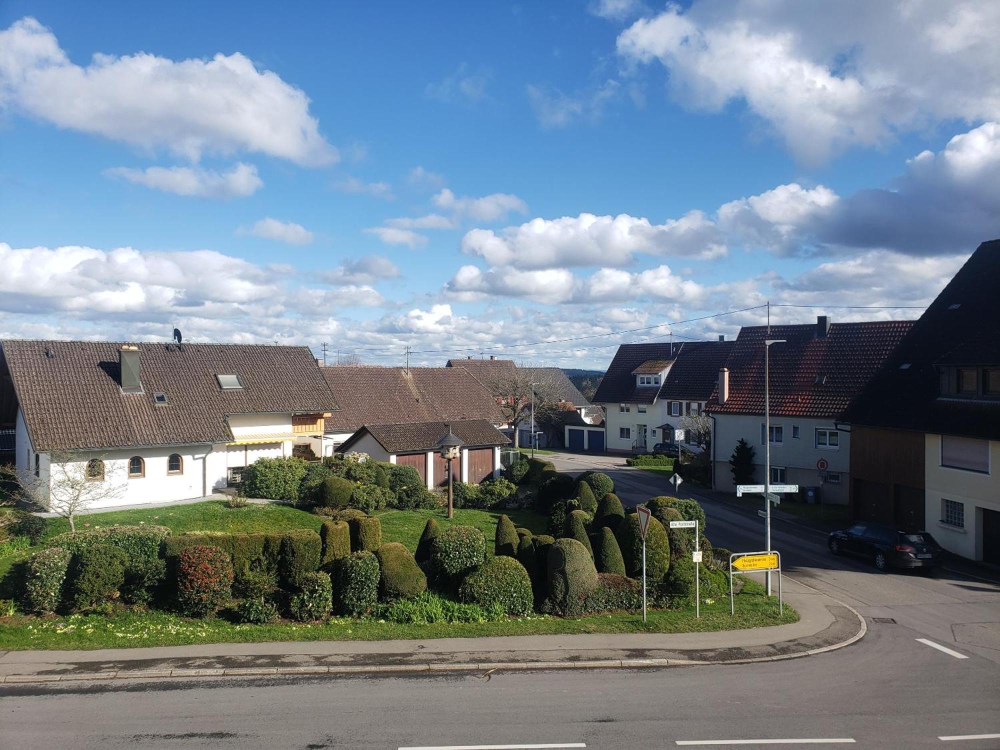 Alter Hirsch Hotel Pfalzgrafenweiler Cameră foto